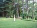 LawnSports4